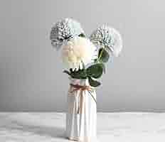 51e+Bjt6SpL._AC_SY200_QL15_.jpg